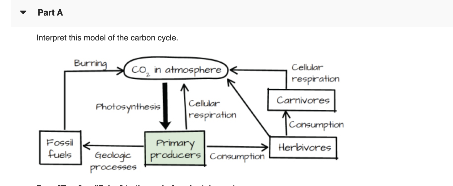 Solved Part A Interpret This Model Of The Carbon Cycle B Chegg Com