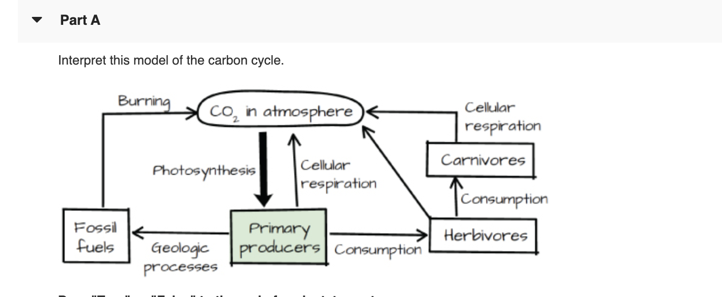 Solved Part A Interpret This Model Of The Carbon Cycle Chegg Com