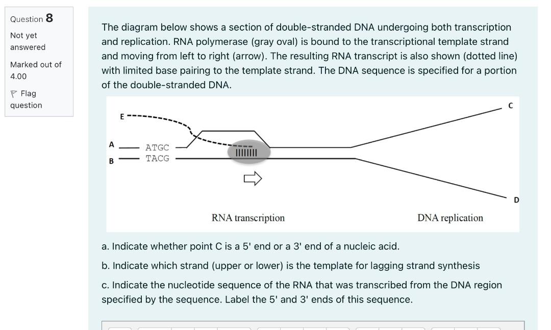 Solved Question 8 Not yet answered The diagram below shows a | Chegg.com