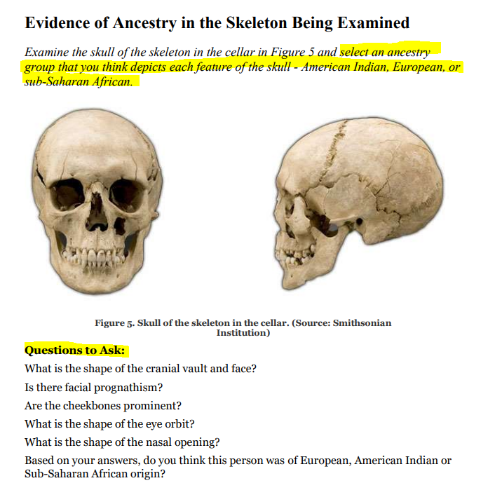 Evidence of Ancestry in the Skeleton Being Examined