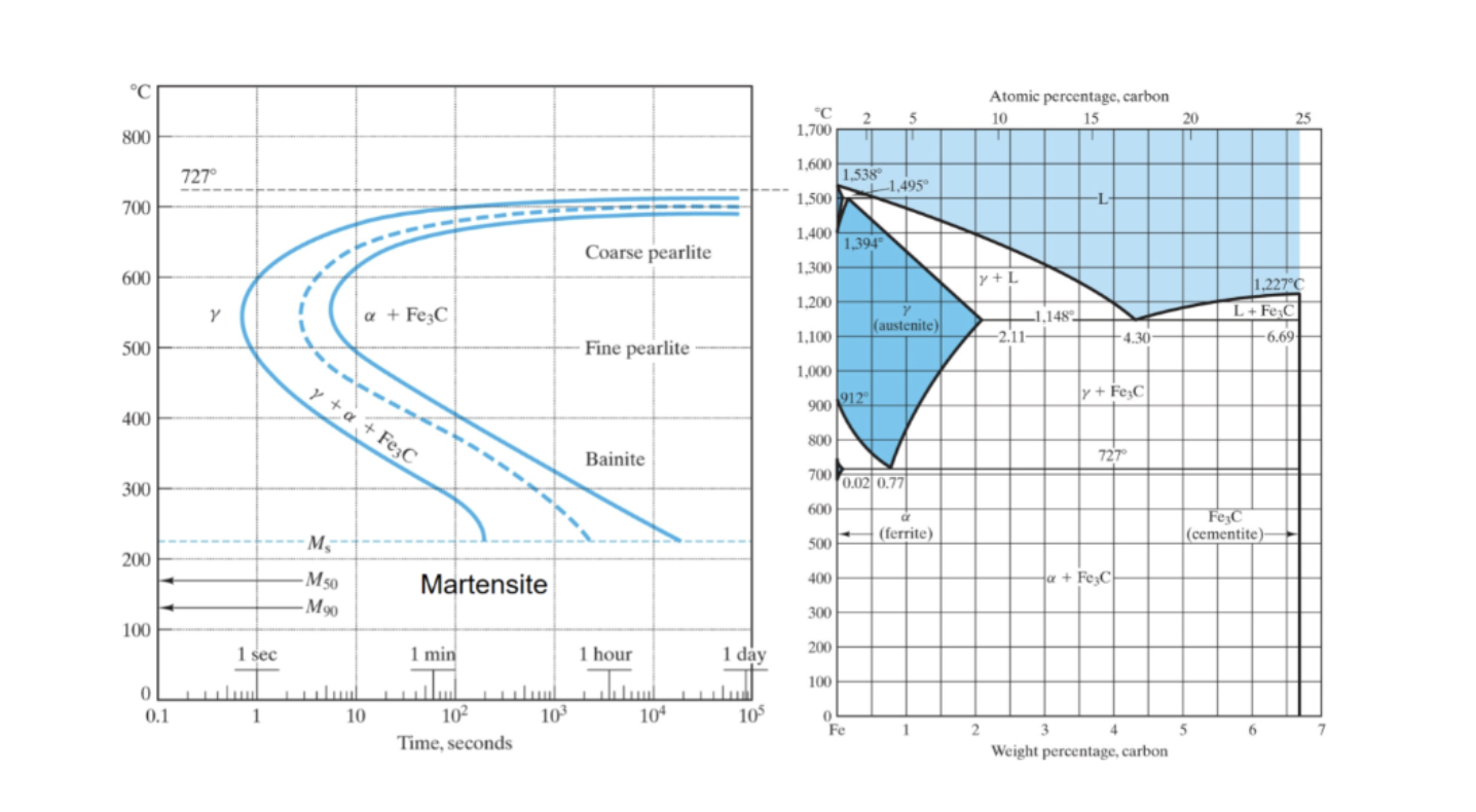 1. TimeTemperatureTransformation (TTT) Diagrams In