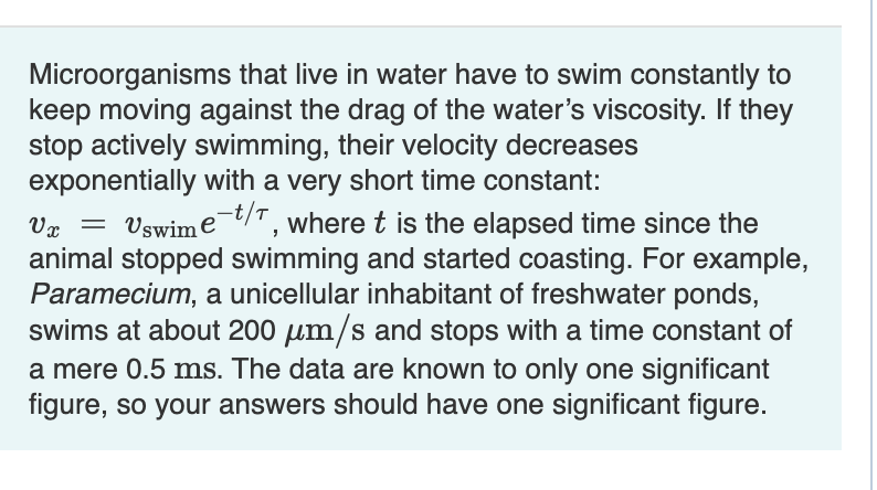 Does your period stop in the water!? 🌊 The short answer is NO