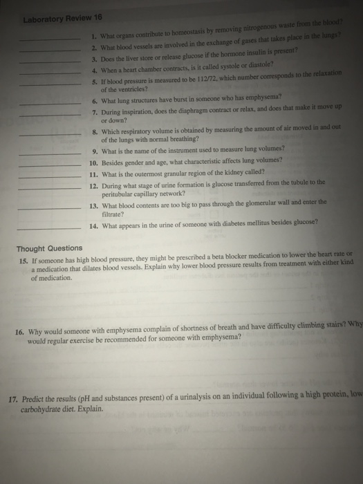 Solved Laboratory Review 16 g nitrogenous waste from the | Chegg.com