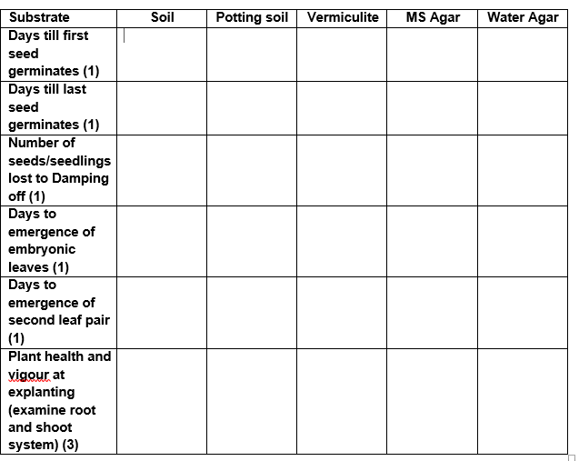 Soil Potting soil Vermiculite MS Agar Water Agar