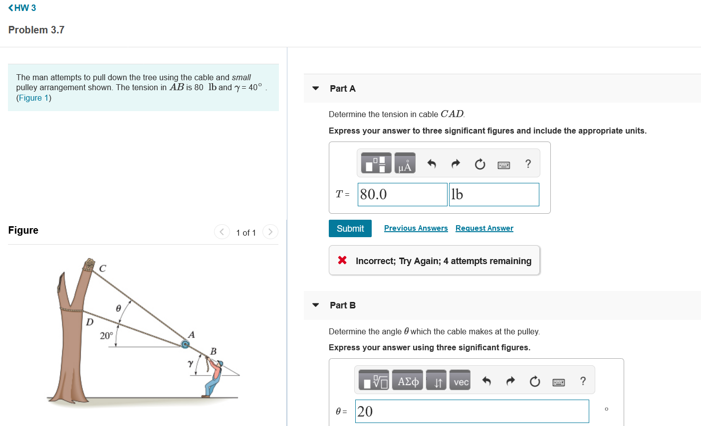 Solved The man attempts to pull down the tree using the
