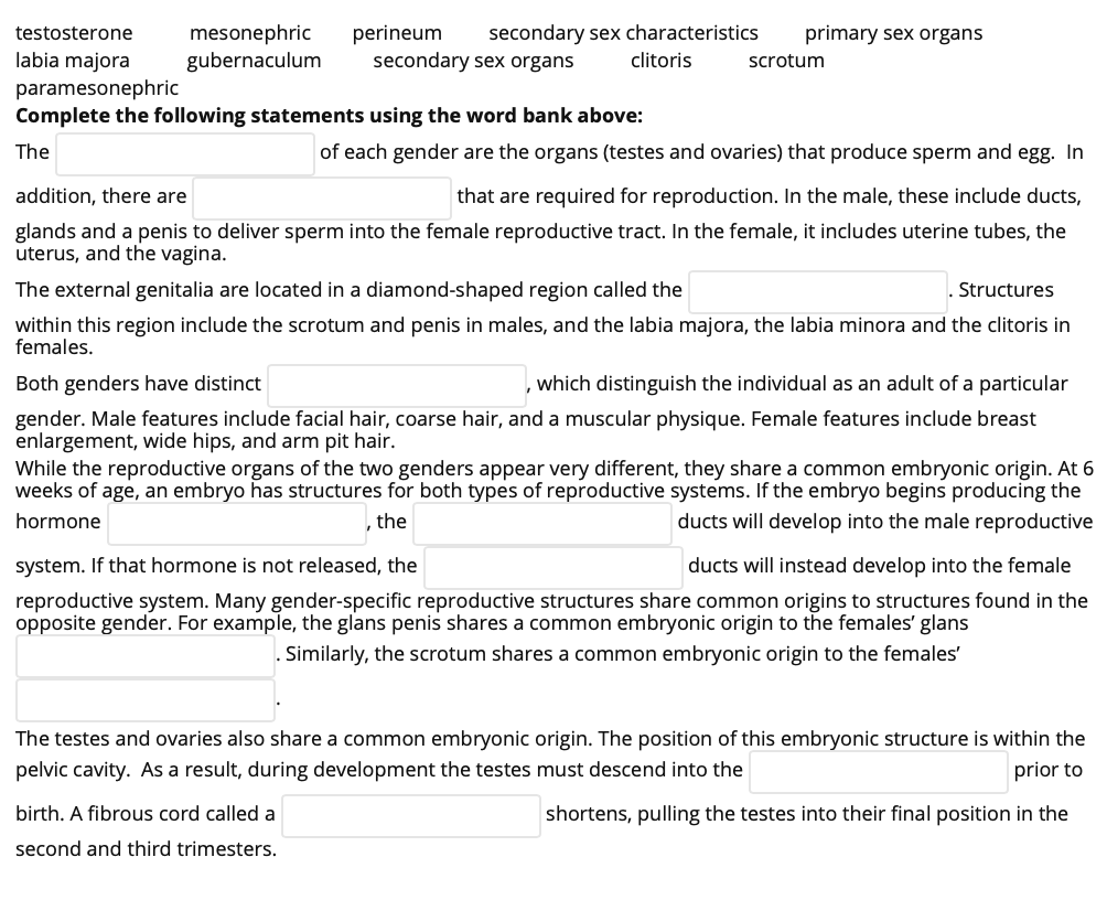 Solved testosterone mesonephric perineum secondary sex | Chegg.com