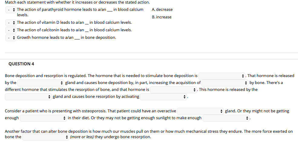 What Are The 4 Steps Of Bone Repair