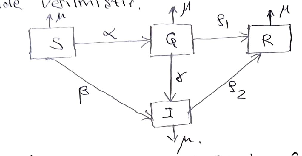 Solved The Pandemic Model Is Given Schematically. S: Healthy | Chegg.com