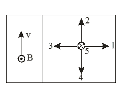 Solved The left diagram shows a negatively charged particle | Chegg.com