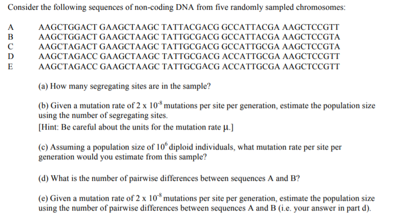 Solved Consider the following sequences of non-coding DNA | Chegg.com