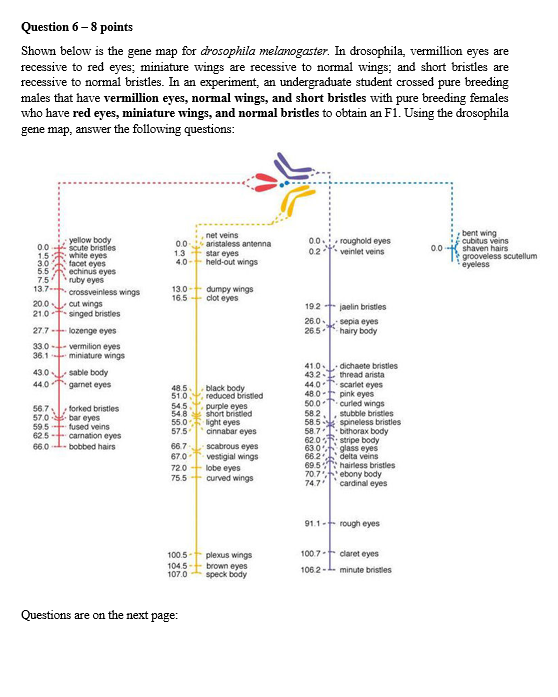 Solved Note: Z = New wing phenotype Zig Zag Z+ wild-type, Z- | Chegg.com