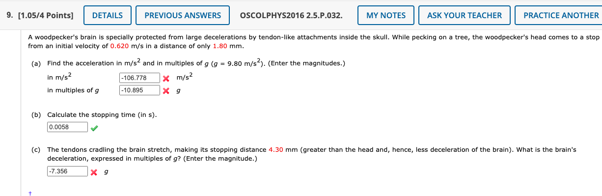 Solved A woodpecker's brain is specially protected from | Chegg.com