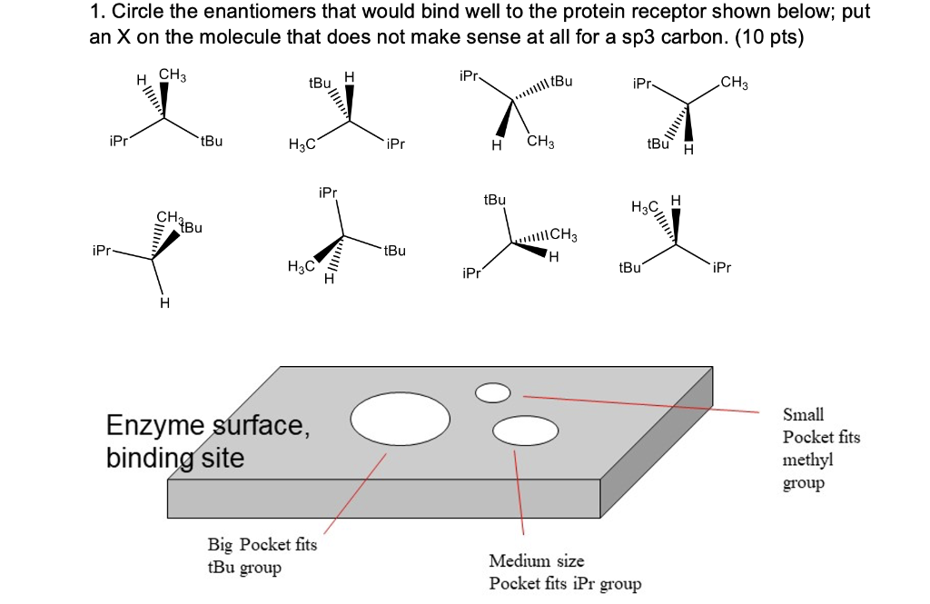 Solved 1. Circle the enantiomers that would bind well to the | Chegg.com