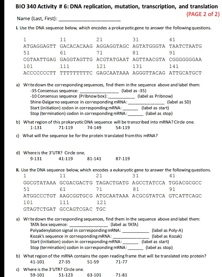 Solved BIO 340 Activity # 6: DNA replication, mutation, | Chegg.com