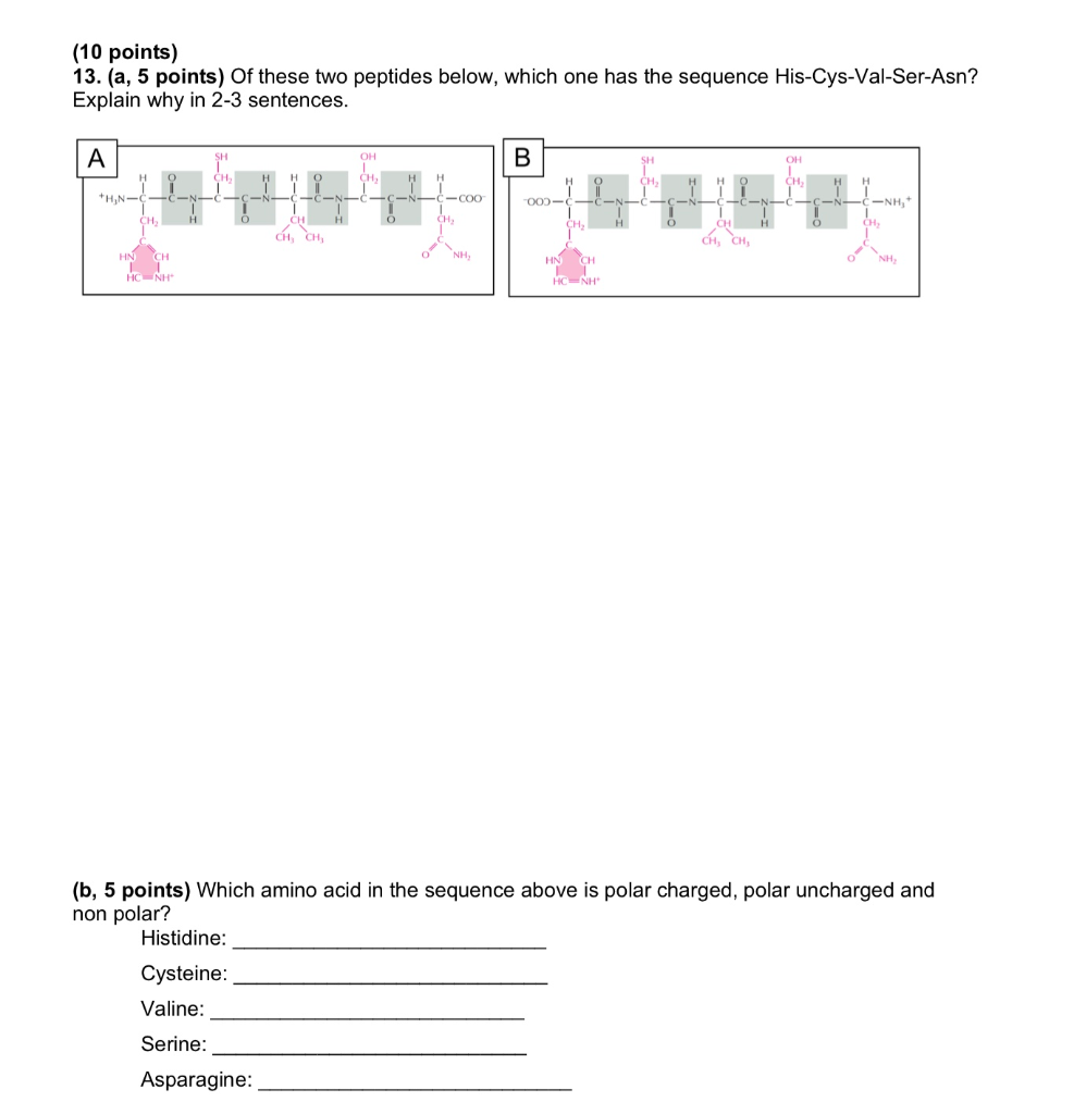 Solved 1. What is the sequence of this RNA molecule? (a) | Chegg.com