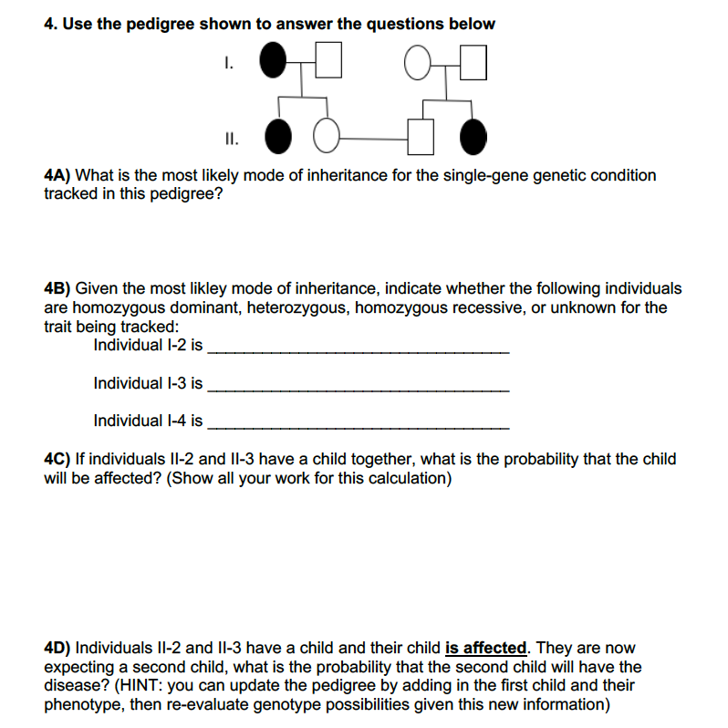 Solved Exercise 4 Interpreting Pedigree Diagramswork In A Chegg Com