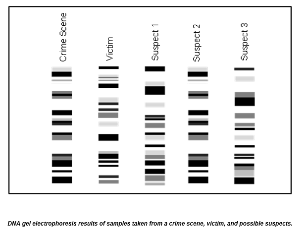 Solved: Post-Lab Questions Use Your Data To Identify The C... | Chegg.com