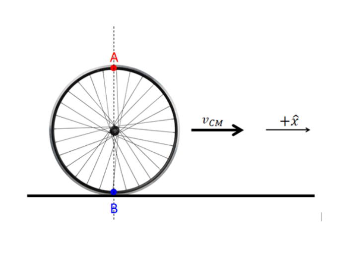 Solved A bicycle wheel rolls without slipping to the right. | Chegg.com