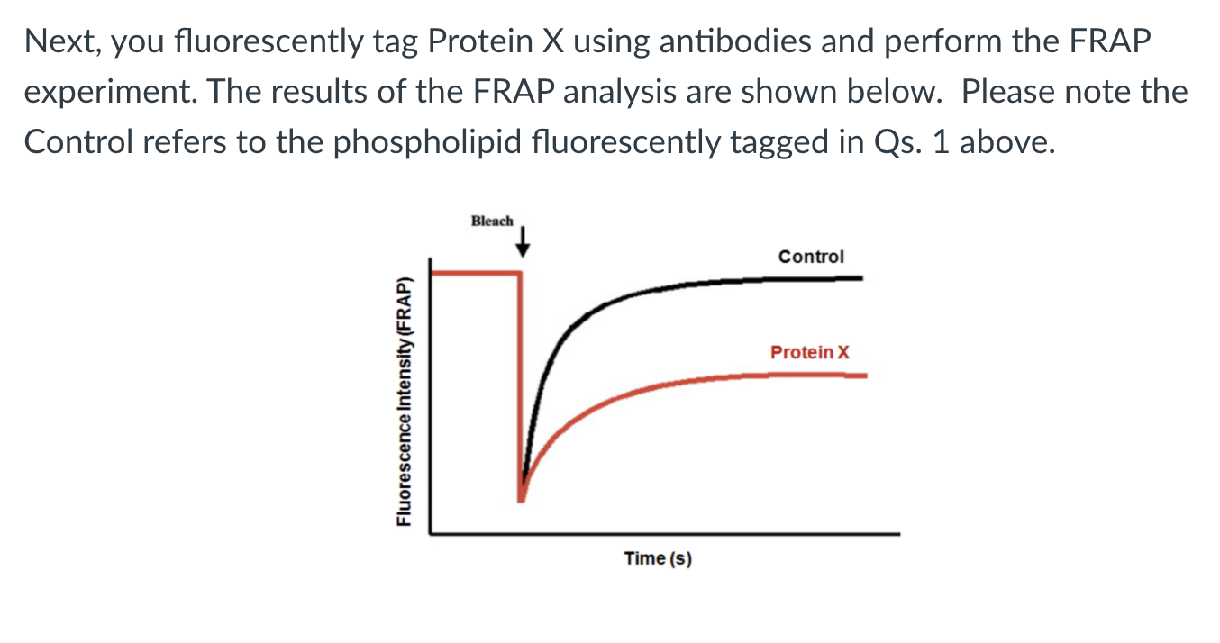 Solved Biochemistry Help: Can someone double check | Chegg.com