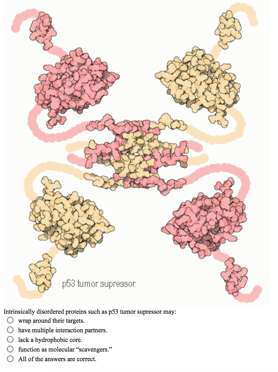 Solved p53 tumor supressor Intrinsically disordered proteins | Chegg.com