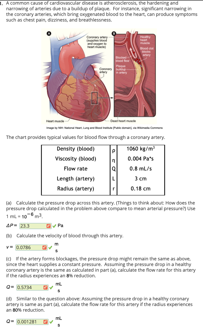 Solved 1. A common cause of cardiovascular disease is | Chegg.com