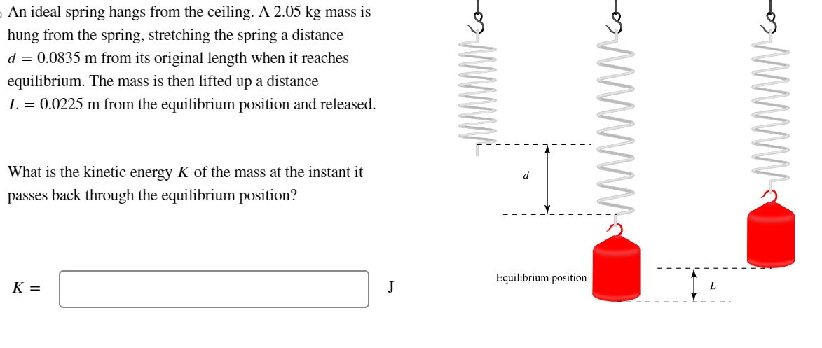Solved An ideal spring hangs from the ceiling. A 2.05 kg | Chegg.com