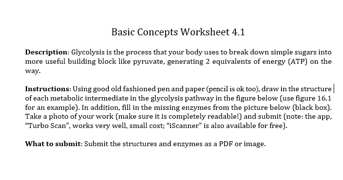Solved: Basic Concepts Worksheet 4.1 Description: Glycolys... | Chegg.com