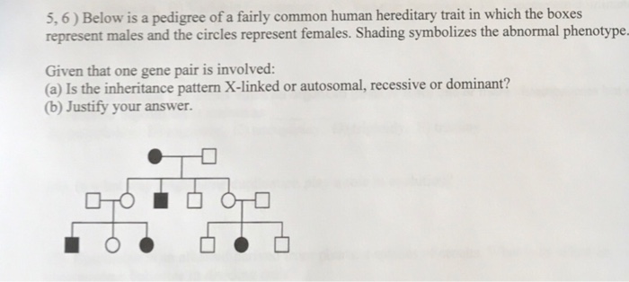 Solved Below is a pedigree of a fairly common human | Chegg.com