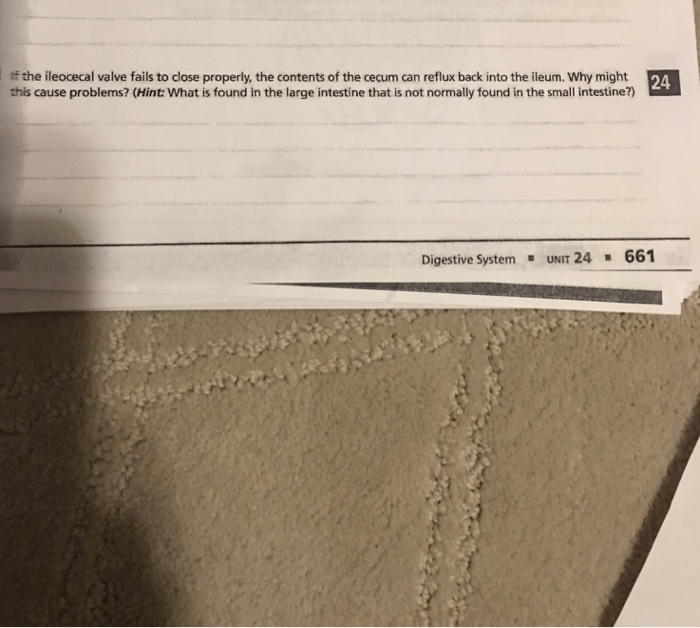 Solved f the ileocecal valve fails to close properly, the