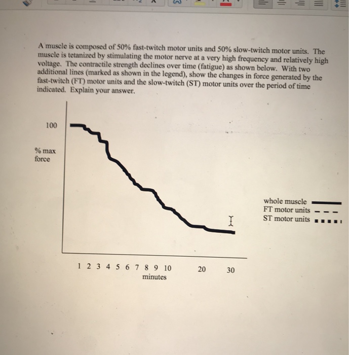 Solved posed of50% fast-twitch motor units and 50% slow | Chegg.com