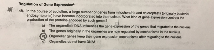 Solved Regulation of Gene Expression 48. In the course of | Chegg.com