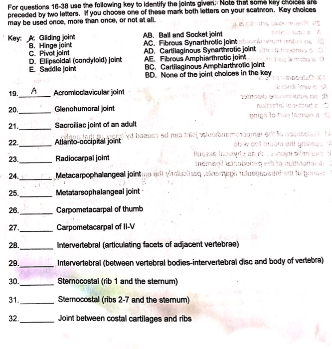 Solved For questions 1638 use the following key to identify