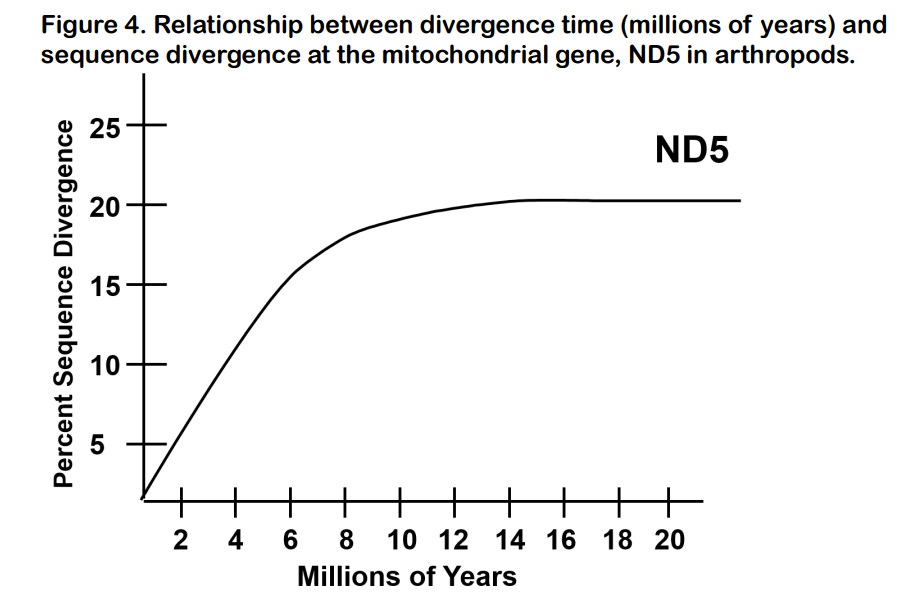 A molecular clock has been calibrated for several