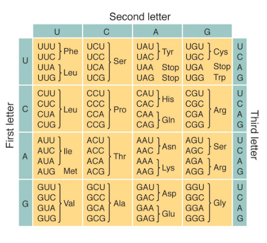 Solved Second letterThe figure below shows a very short | Chegg.com