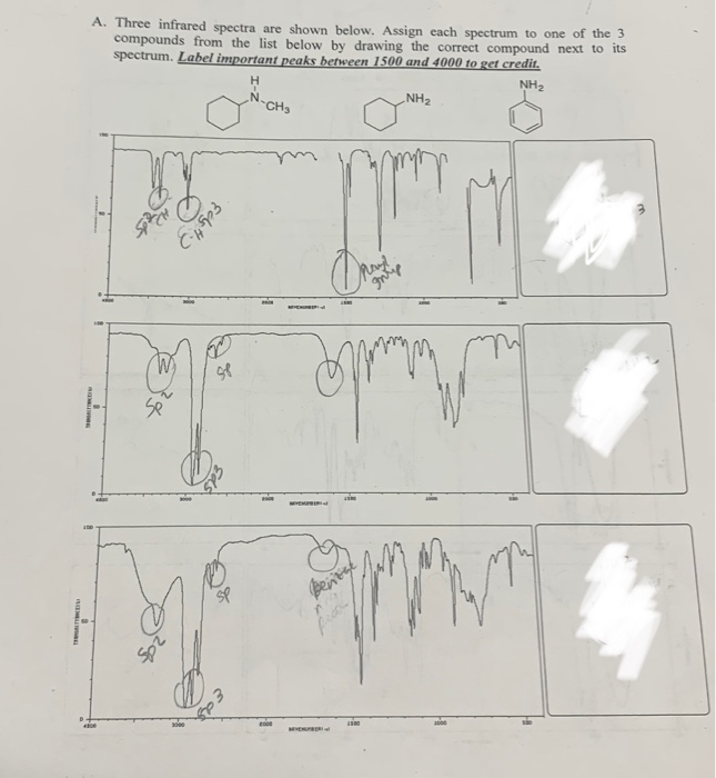 Solved Infrared Spectra Are Shown Below Assign Each 