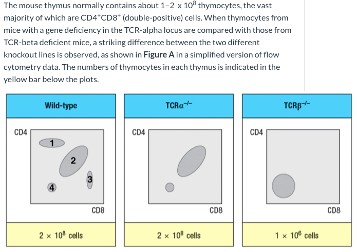 Solved The mouse thymus normally contains about 1-2 x 108 | Chegg.com
