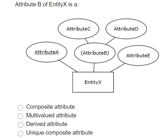 Solved Attribute B Of EntityX Is A: Attributec Attributed | Chegg.com