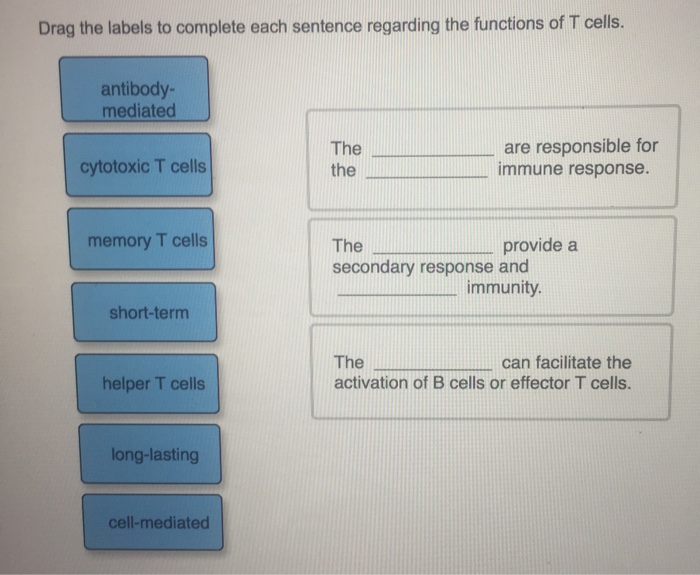 Solved Drag the labels to complete each sentence regarding
