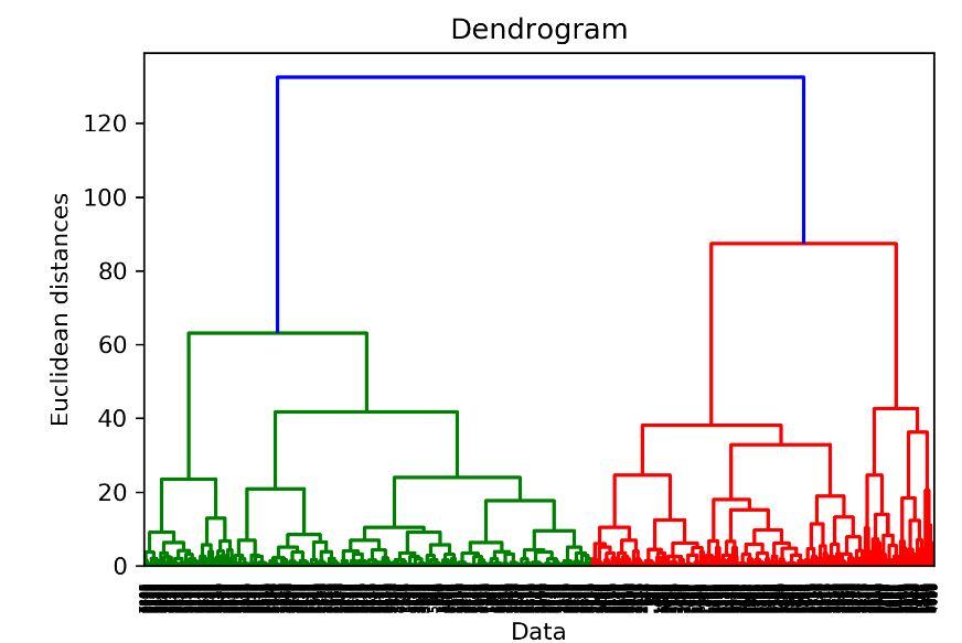 Solved Need help with explanations for this Dendrogram. in | Chegg.com