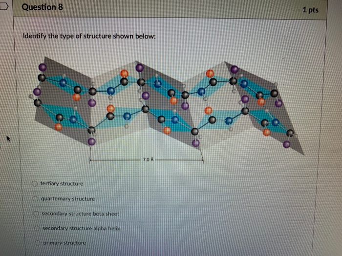 Solved Question 8 1 pts Identify the type of structure shown | Chegg.com