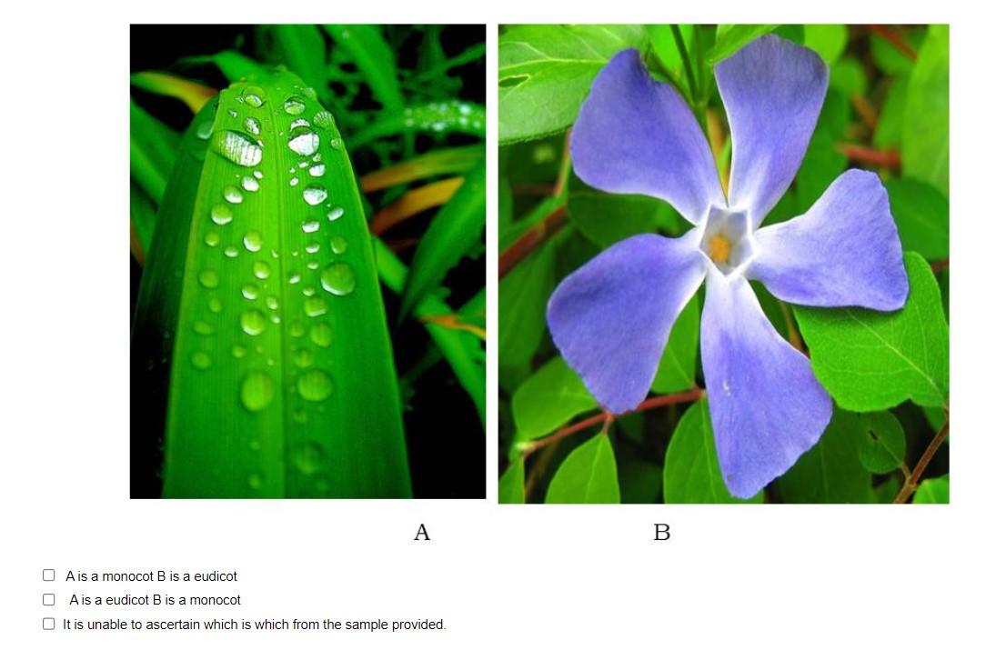 Solved Biology Question 1.) Given The Following Image, Which | Chegg.com