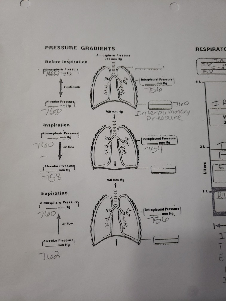 Solved PRESSURE GRADIENTS RESP Almosplhernc Pressure 60 min | Chegg.com