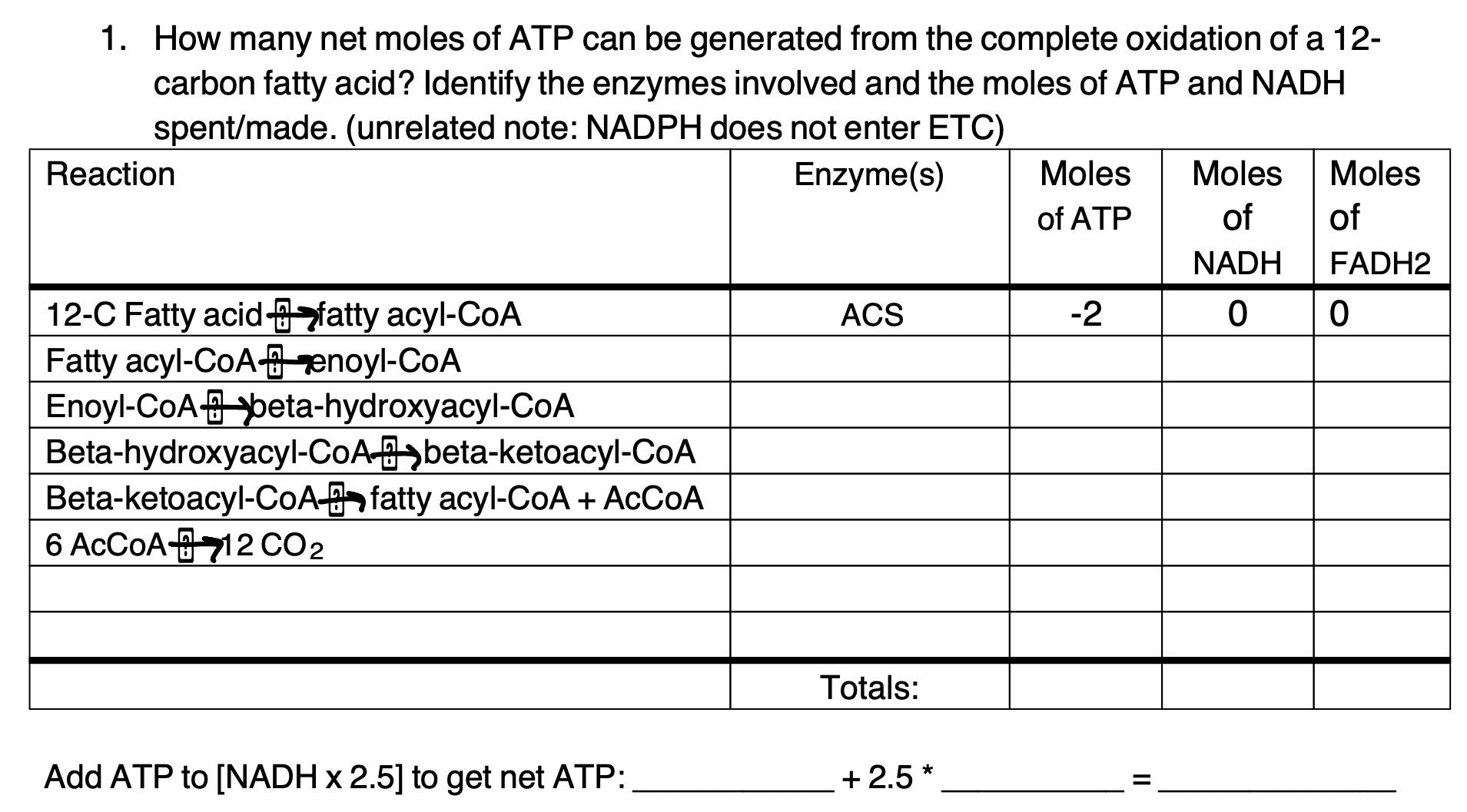 Solved 1. How many net moles of ATP can be generated from | Chegg.com