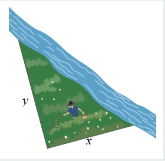 Solved You want to build a triangular garden (with a right