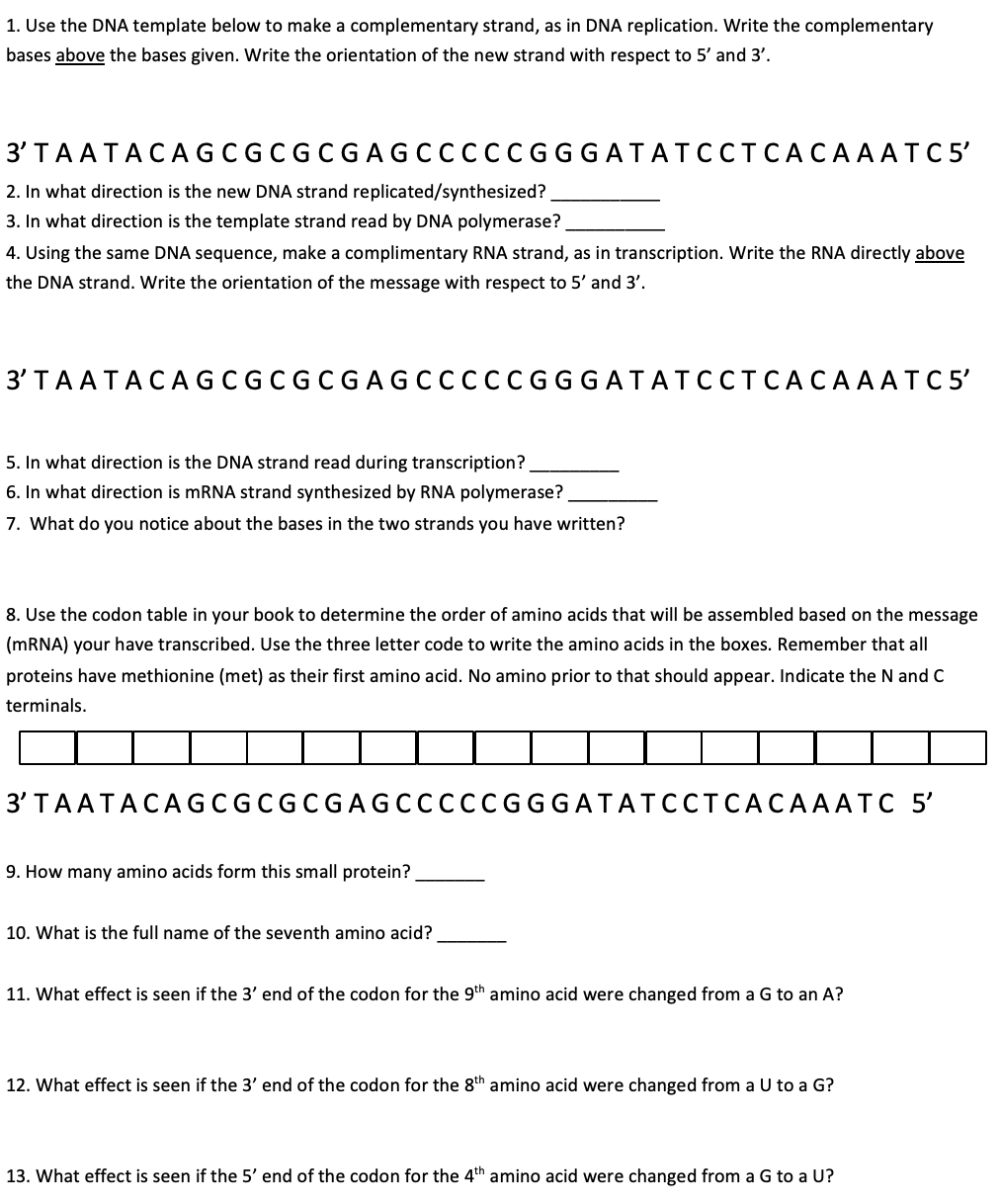 Solved 1. Use the DNA template below to make a complementary | Chegg.com