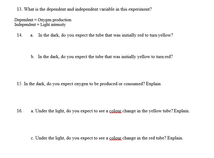 independent variable in photosynthesis experiment