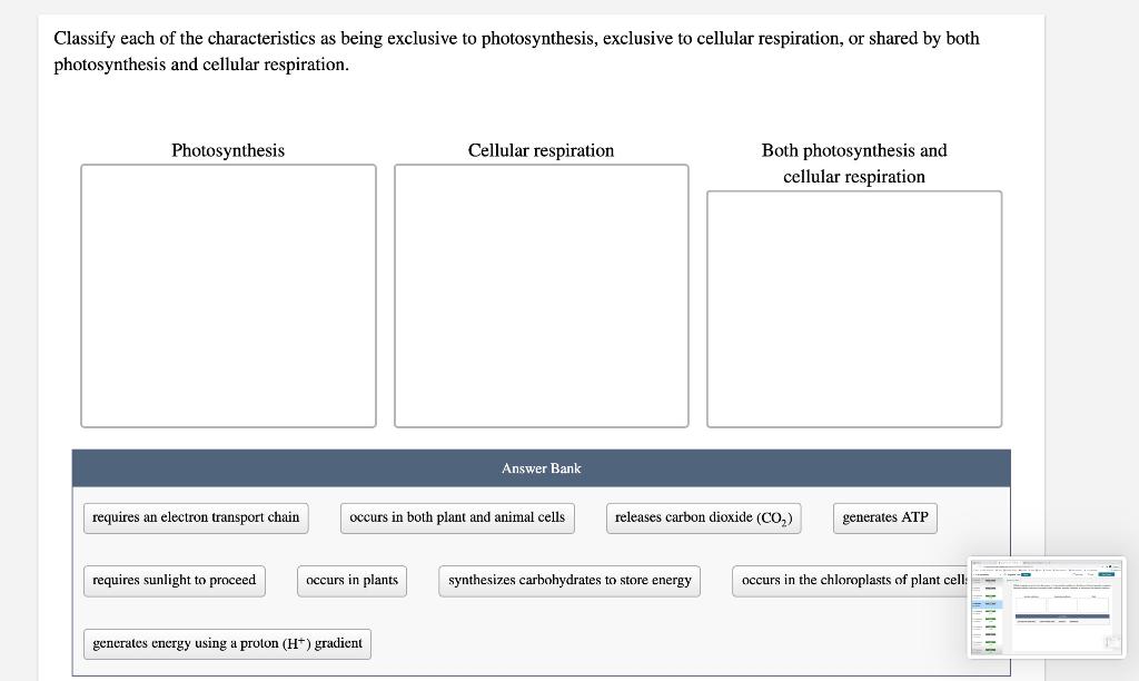 Solved Classify each of the characteristics as being | Chegg.com