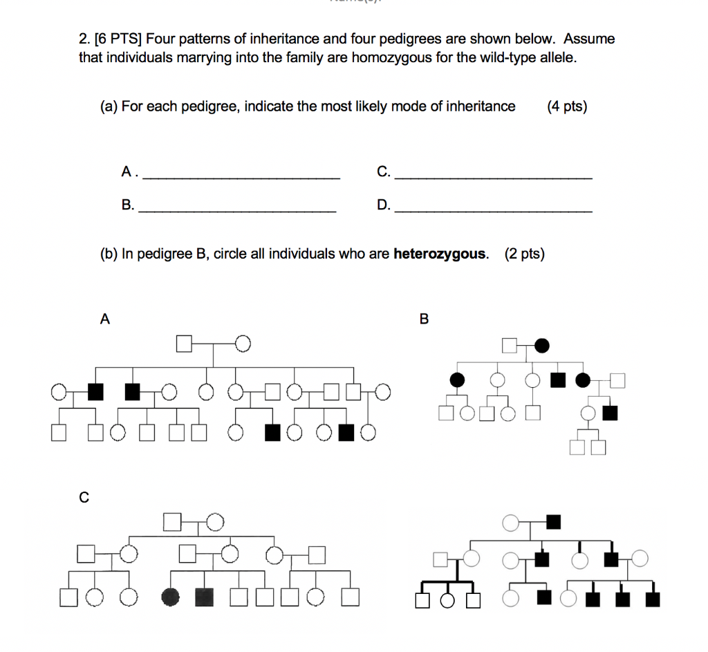 Solved 2. [6 PTS] Four patterns of inheritance and four | Chegg.com