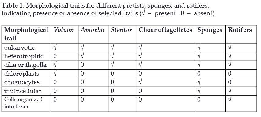 Solved Create a complete cladogram for the six organisms | Chegg.com