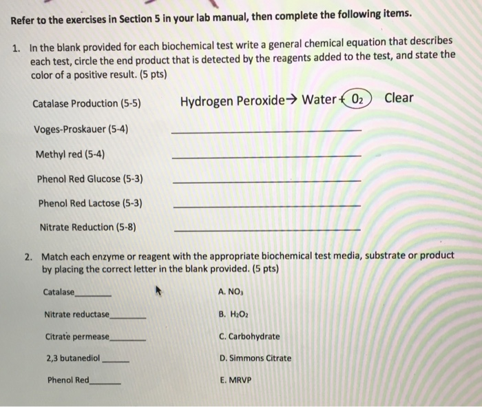 Solved Refer to the exercises in Section 5 in your lab | Chegg.com